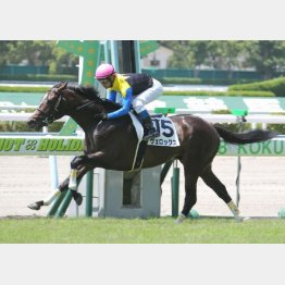 衝撃的な強さで新馬V
