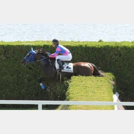 危なげなく逃げ切って障害初勝利