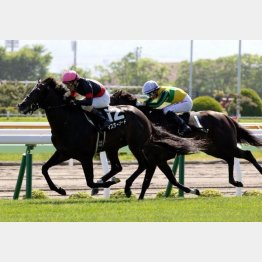 駒ケ岳特別を押し切り