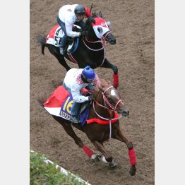 今週は坂路で楽に51秒5