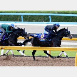 3頭併せで最先着