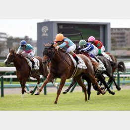 未勝利Vが鮮やか