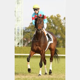 C・デムーロとのコンビが魅力