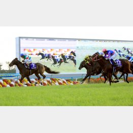 吉田豊は08年マイルCで4年ぶりのGⅠ勝利