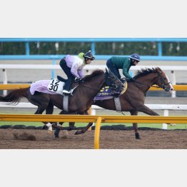首差先着した(右)