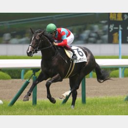 新馬戦がセンス十分