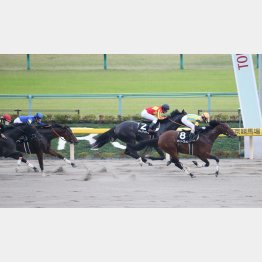 前走は②着でもオープン級の内容