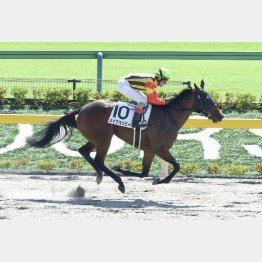 新馬戦は10馬身差圧勝