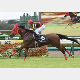 古作特別を快勝