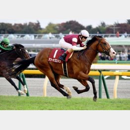 2歳時に東京で重賞勝ち