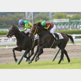 小倉の二千六百㍍戦で五百万勝ち