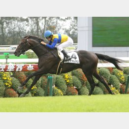 たたき2走目の前走が順当勝ち