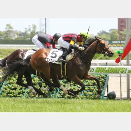 新馬戦は脚力をアピール
