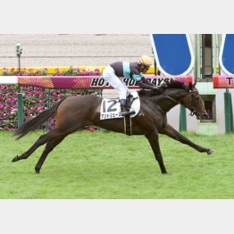 2戦目は完勝