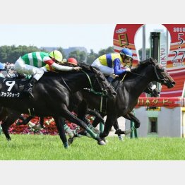 むらさき賞は首差