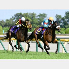 同舞台のオークスを好時計で完勝
