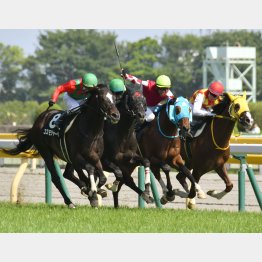 陣馬特別では狭いところを割って出た(右から2頭目)