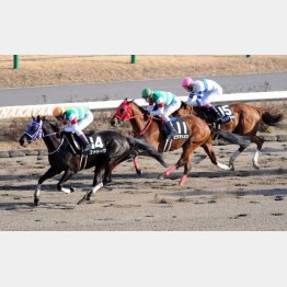 一昨年の初茜賞以来の勝利を
