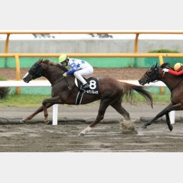 檜山特別を完勝
