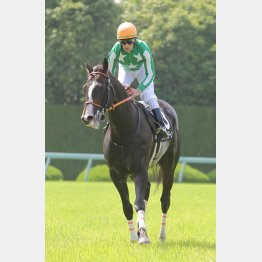 千四で2連勝中