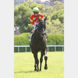 連勝だ