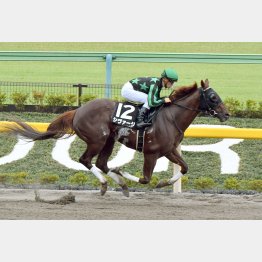6月青梅Sは強かった