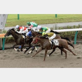 同舞台の中山ダ1200㍍で未勝利を快勝