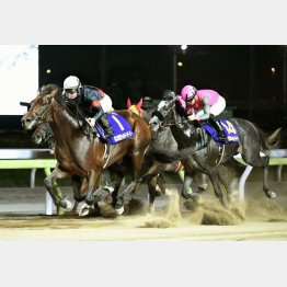 ジャパンダートダービーで交流GⅠ勝ち