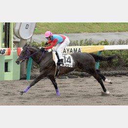 2走前に同舞台で快勝