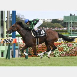 2走前は中山マイルで完勝