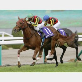 昨年はラッキーライラックが3戦無敗で女王に