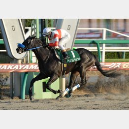 14年はダノンレジェンドの逃げ切りで165万馬券に