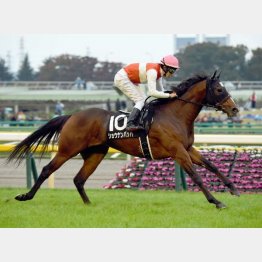 15年ノベンバーS以来のVを