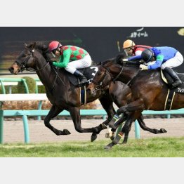 潮来特別は首差②着
