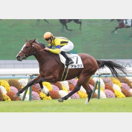 新馬戦はノーステッキでV