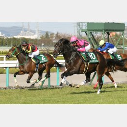 阪神では毎日杯勝ちも