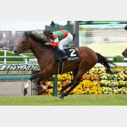 安房特別で現級勝ち