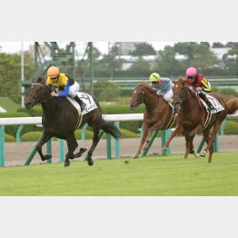 稍重の新馬戦は歴代最速のラスト3F