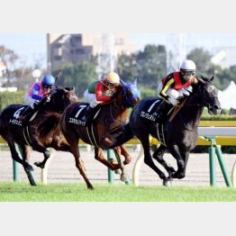 圧倒的な瞬発力でアイビーSを快勝