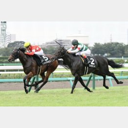 サフラン賞を好内容で快勝