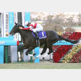 昨年はディープ産駒ダノンプレミアムが無敗で2歳王者に