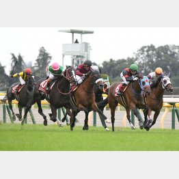 府中牝馬Sでは僅差の③着