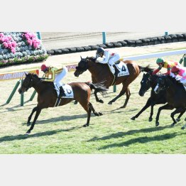 中山マイルの未勝利を好時計勝ち