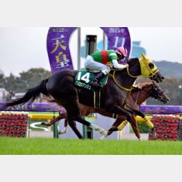 アルテミスS勝ちは12番人気