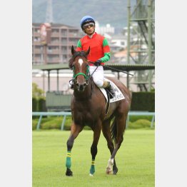経験を積んで良くなってきた