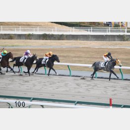 前走は完勝