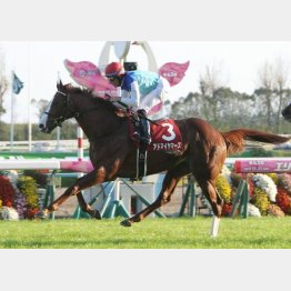 デイリー杯2歳Sを完勝