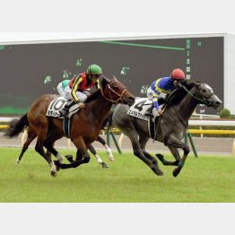 マイルで新馬勝ち