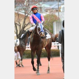 馬券の軸ならメイショウサチシオ