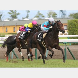 7月中京戦も完勝